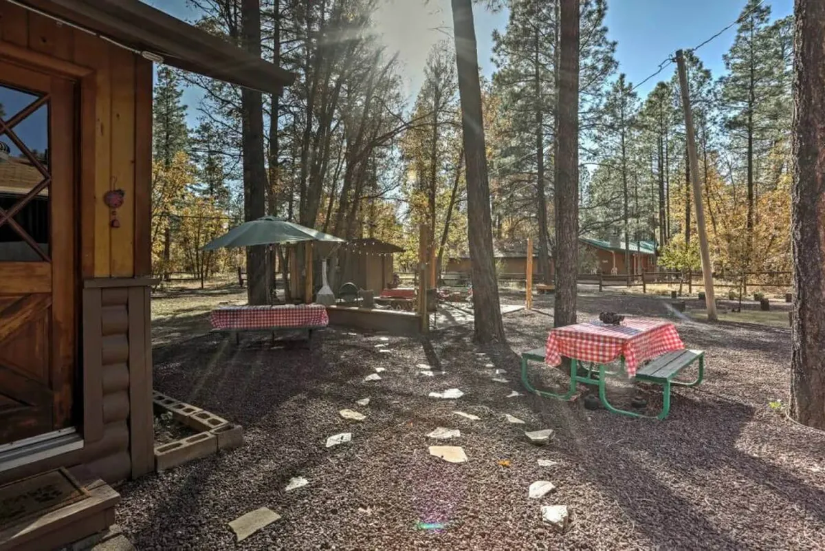 A rustic wooden cabin sits among tall trees, with picnic tables set out on a natural pathway. The foreground highlights areas for outdoor dining, play, or just lounging, encouraging fun group activities. The setting is open and friendly, suggestive of a family-and-pet-friendly environment.